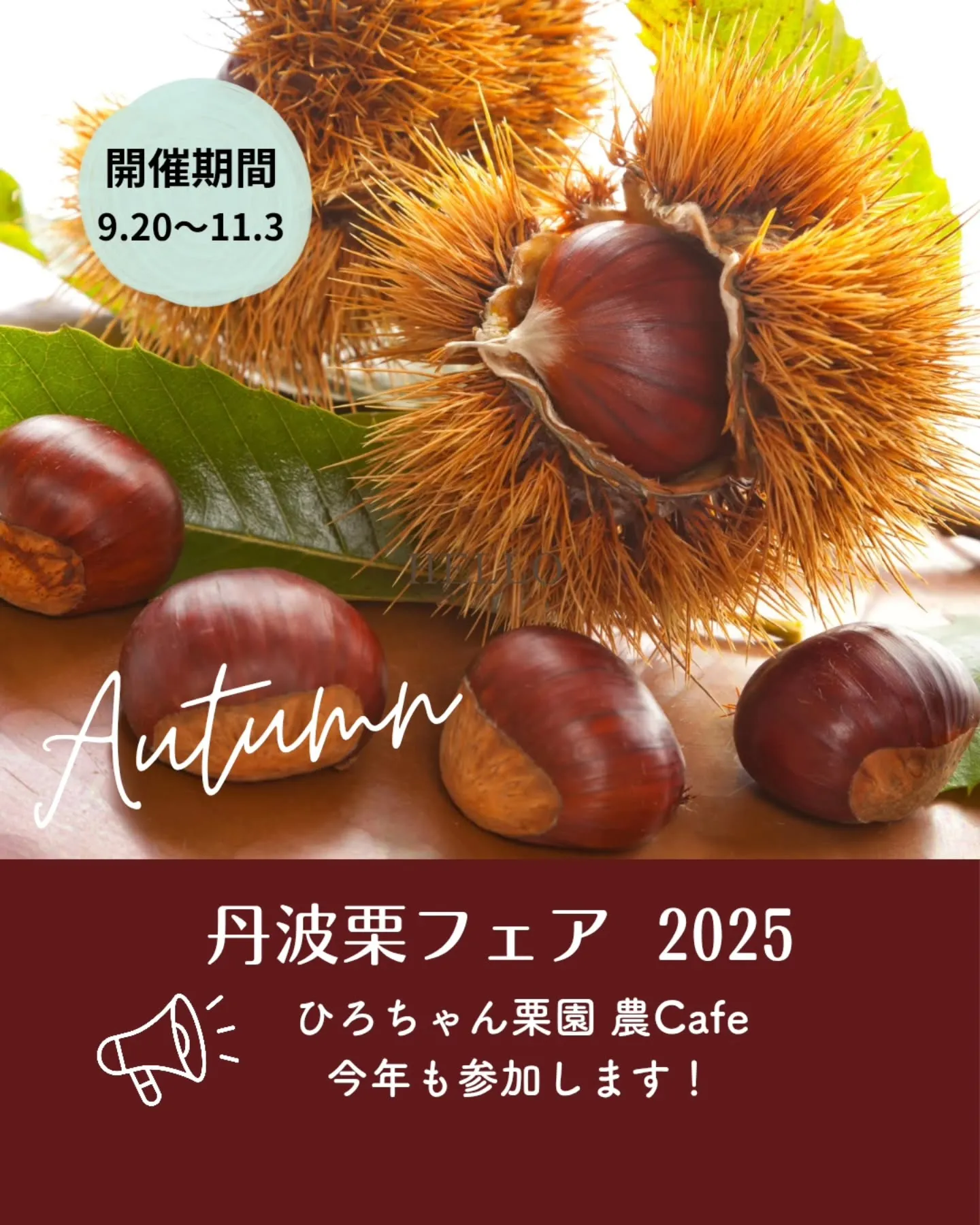 🌰 今年も「丹波栗フェア」に参加いたします！ 