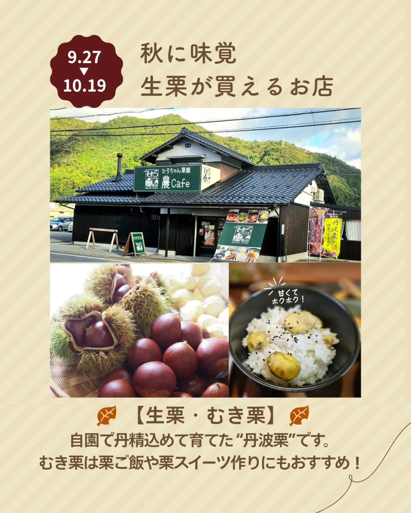 🌰 今年も「丹波栗フェア」に参加いたします！ 