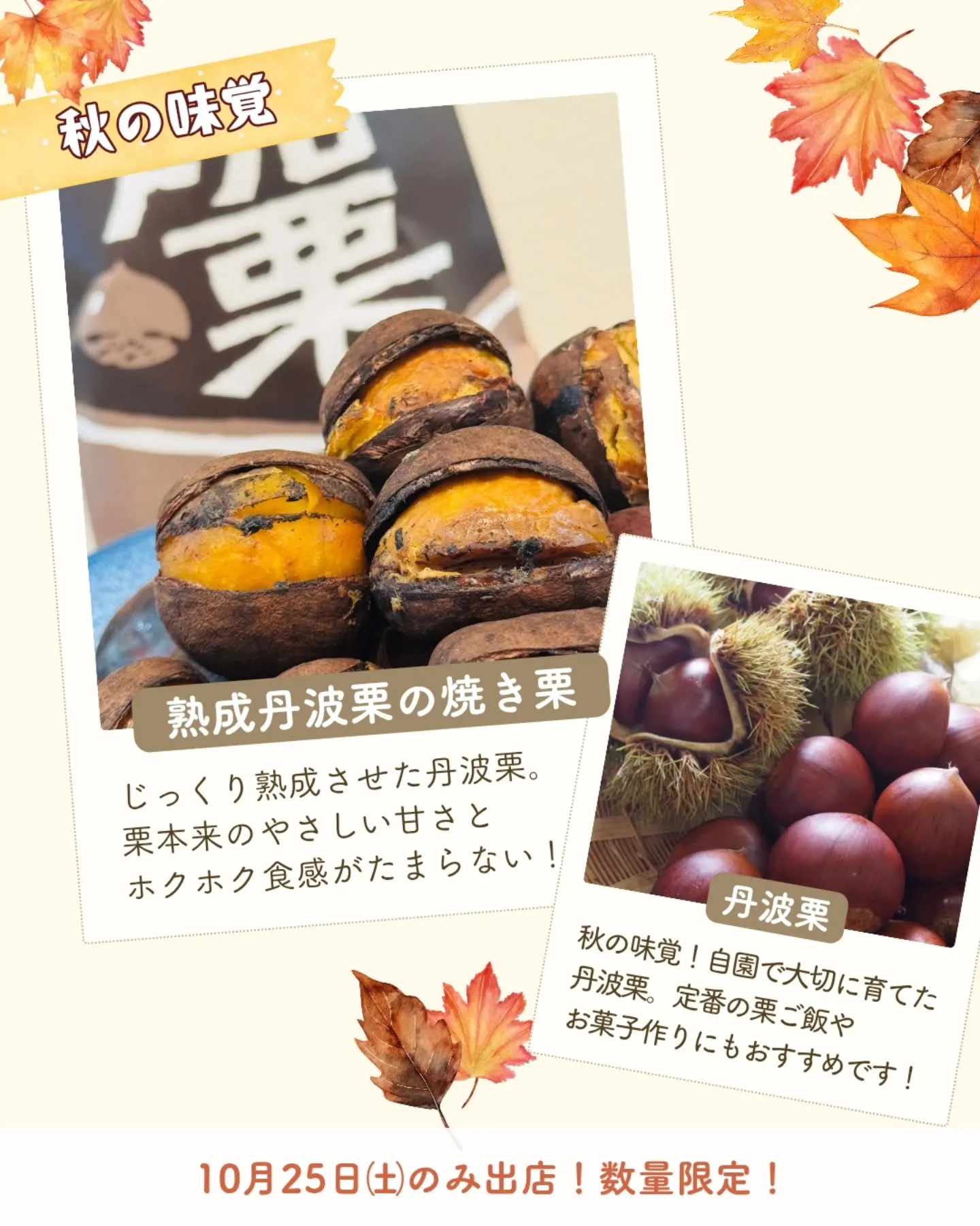 🍶 西山酒造場さんの「蔵開き直売会」に出店します!