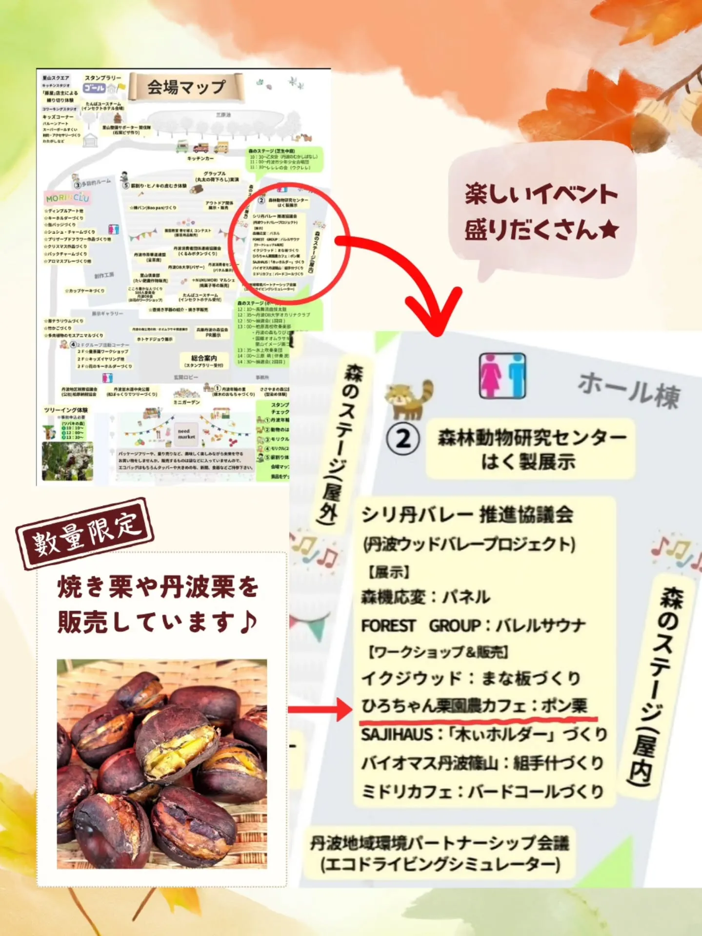 📢 丹波の森フェスティバル !