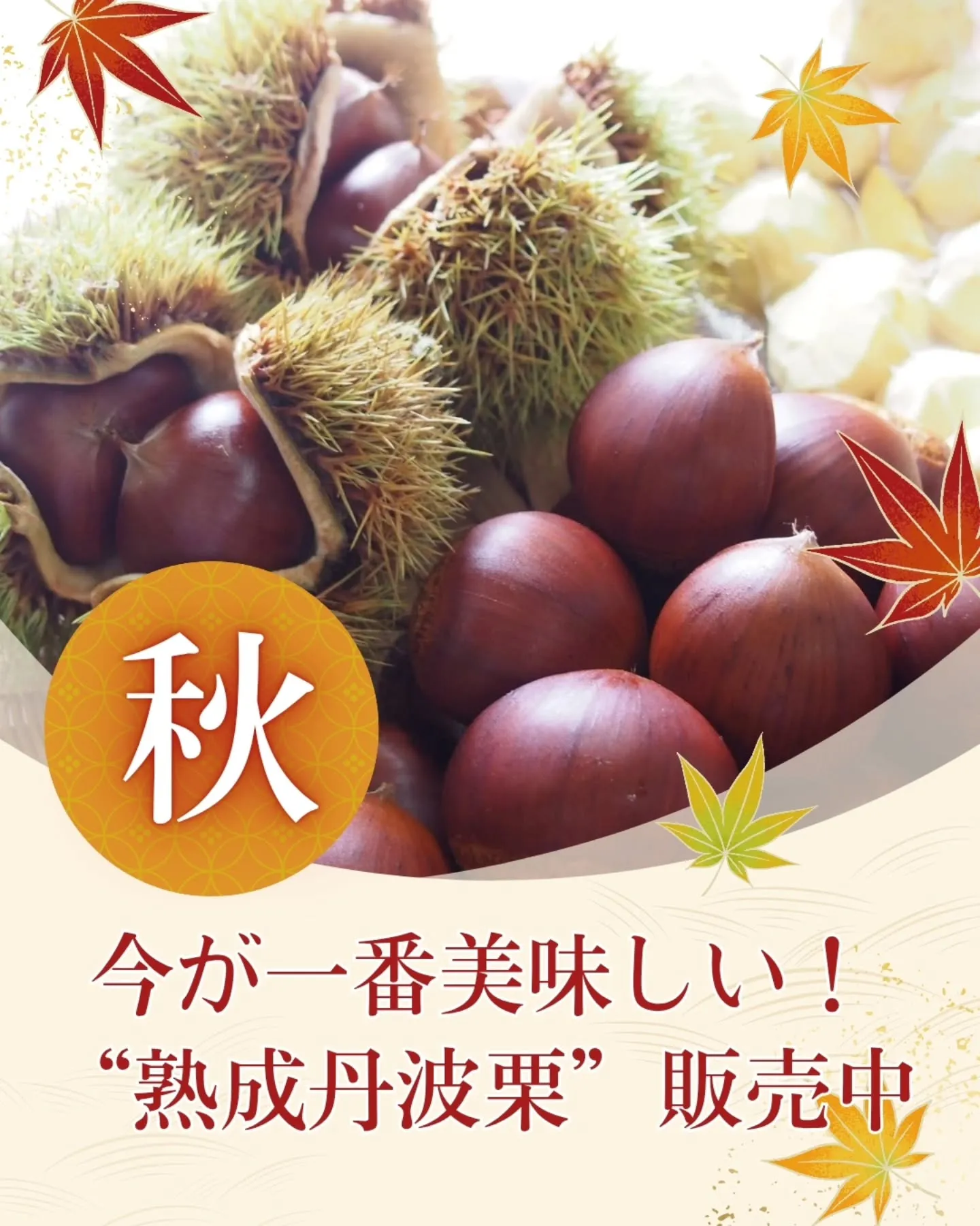 🍂 今がいちばん、美味しい。