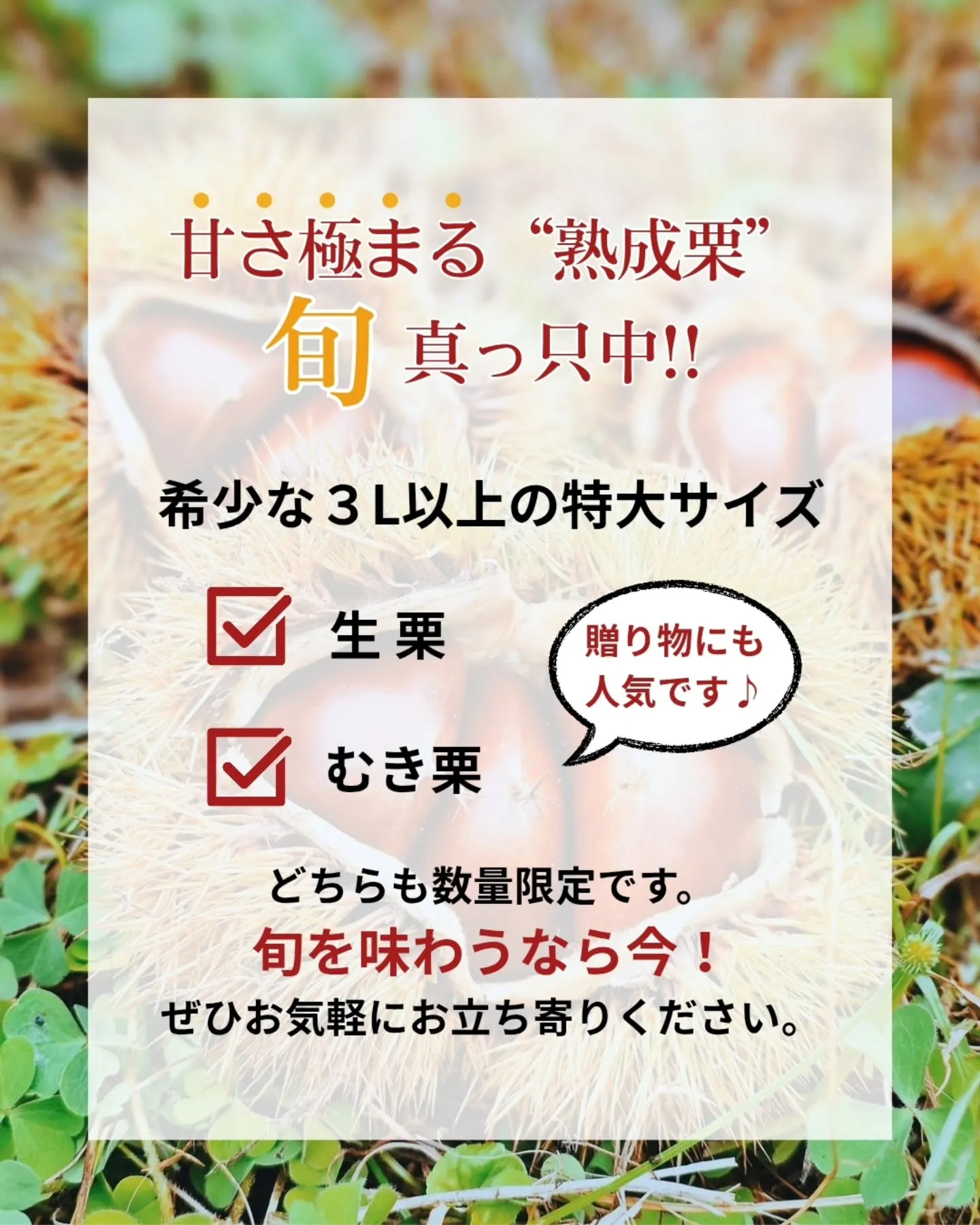 🍂 今がいちばん、美味しい。