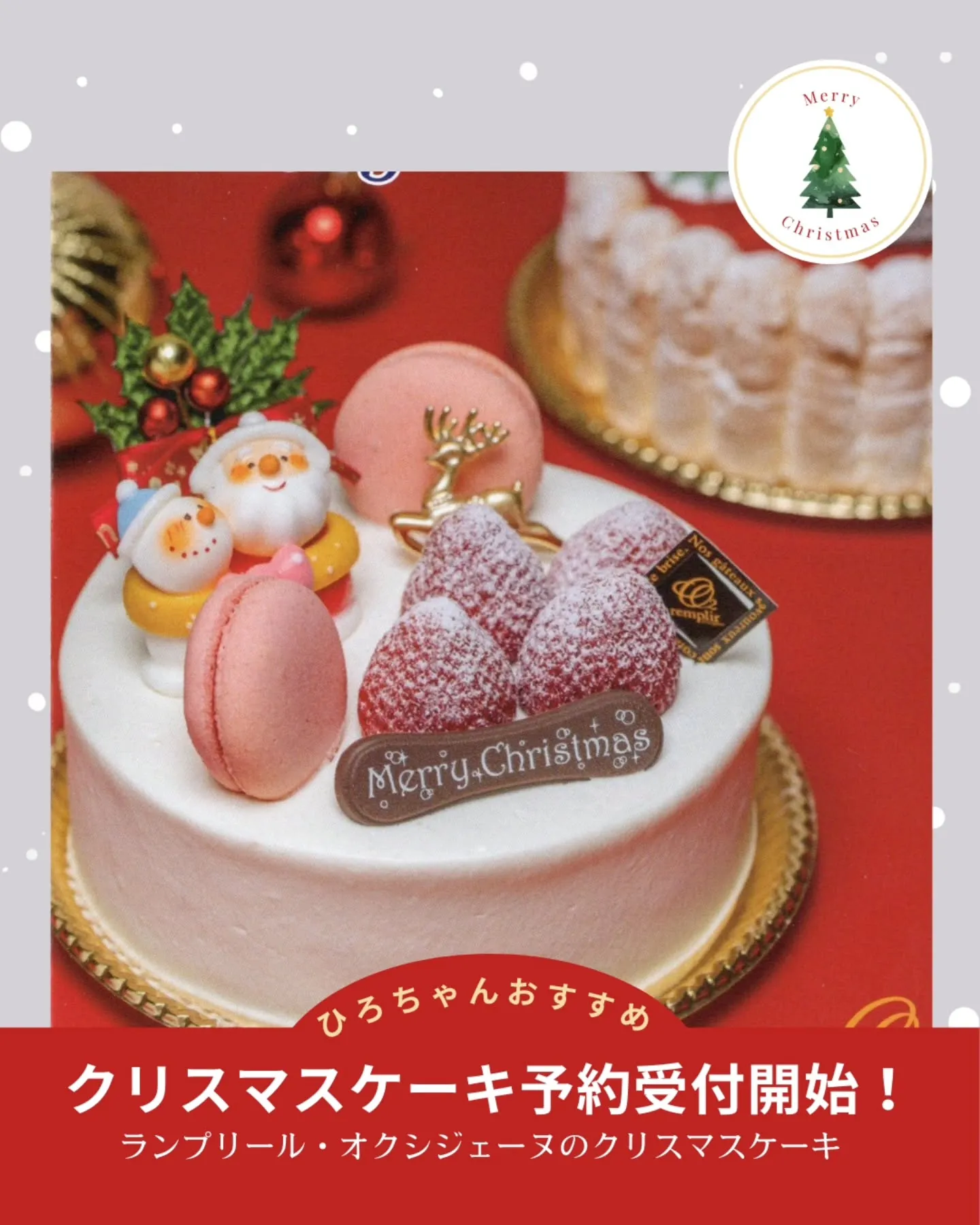 🎂✨ クリスマスケーキご注文受付開始のお知らせです ✨🎄