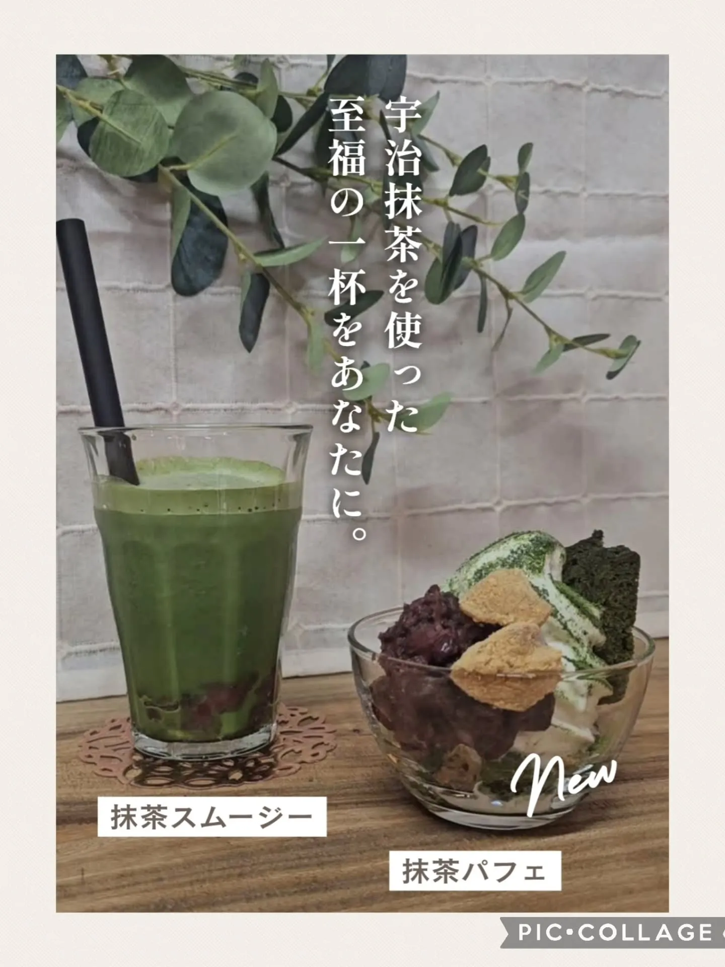 4月のおすすめはこれ💚