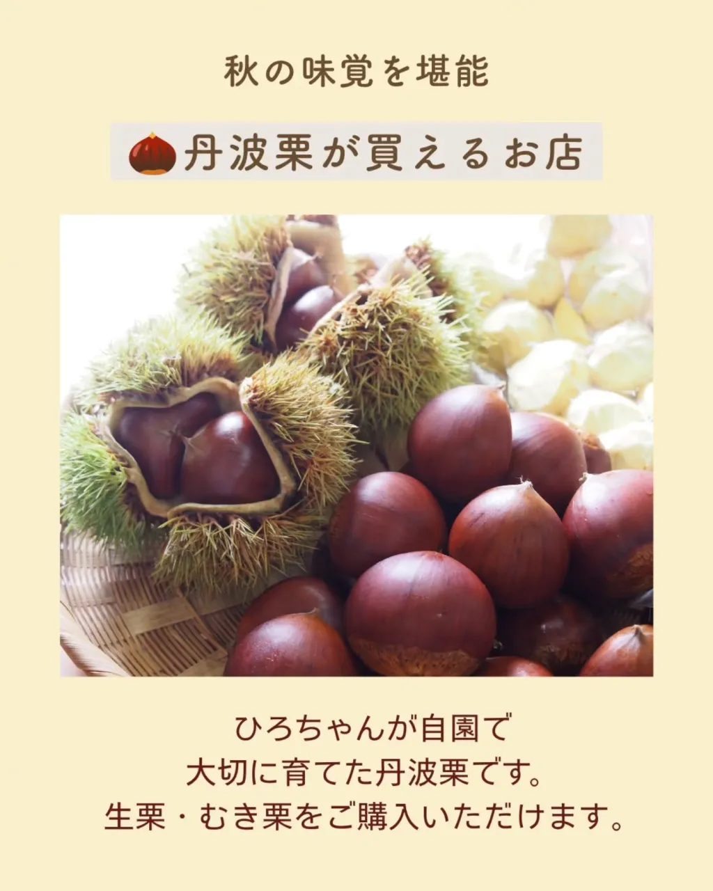 2026丹波栗フェア🌰 のお知らせ⋆͛📢⋆