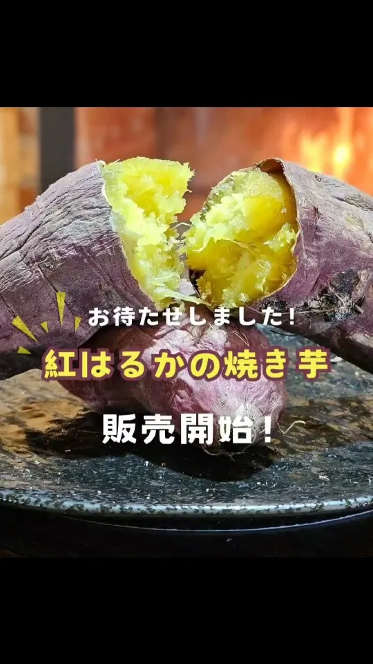 🍠 薪ストーブ焼きの“紅はるか”販売スタート！