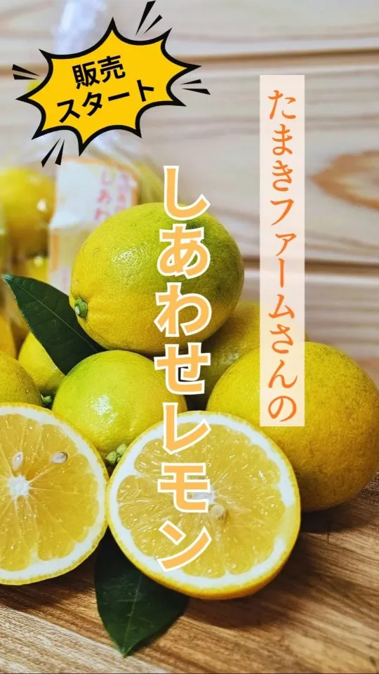 🍋人気のレモン、今年も入荷しました！ 